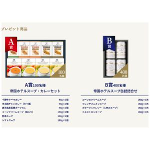 帝国ホテルスープ・カレーセット 他