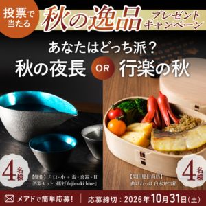 能作  片口・盃 酒器セット 他