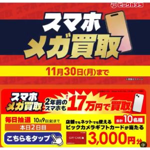 ビックカメラギフトカード3,000円分