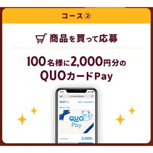 QUOカードPay 2,000円分