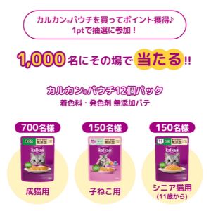 カルカン パウチ 12個パック