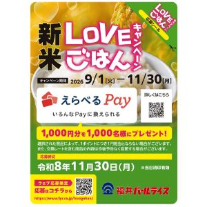 えらべるPay 1,000円分