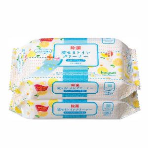 流せるトイレクリーナー大判サイズ