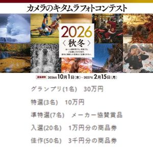 現金30万円 他