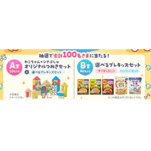 つみき＆プレキッズ（幼児食）セット 他