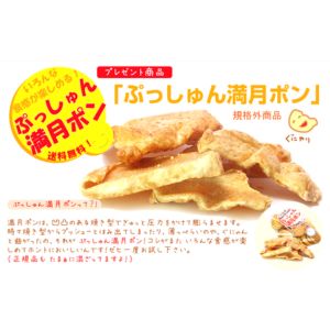 ふぞろい ぷっしゅん満月ポン