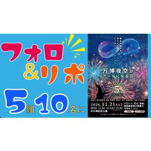 「万博夜空がアートになる日」ペアチケット