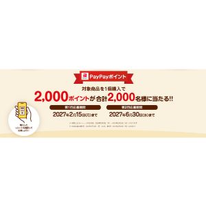 PayPayポイント 2,000ポイント