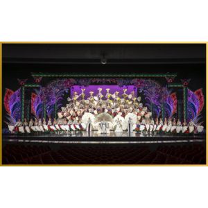 東京宝塚劇場 花組貸切公演チケット