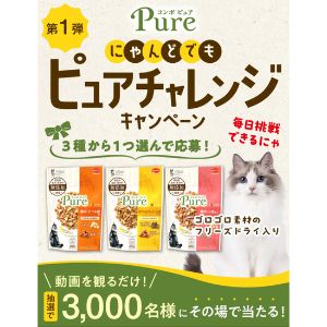 猫用フード　コンボ ピュア キャット