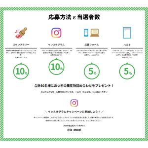 あつぎの農産物詰め合わせ