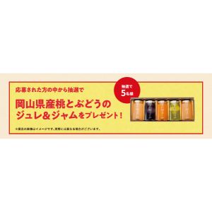 [岡山在住の方限定]岡山県産 桃とぶどうのジュレ＆ジャム