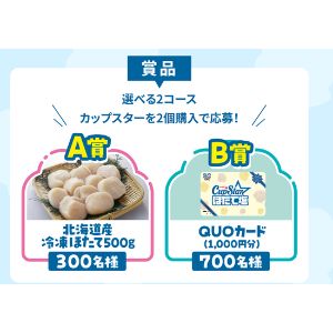 北海道産冷凍ほたて貝柱500g 他