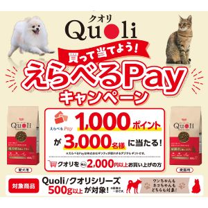 えらべるPay1,000ポイント分