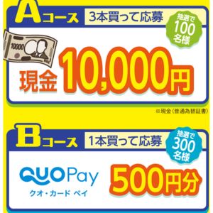 現金1万円、QUOカードPay500円分
