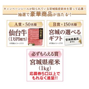 仙台牛1万円相当 他
