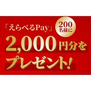 えらべるPay2,000円分