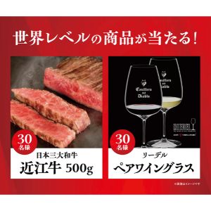 日本三大和牛近江牛500g 他