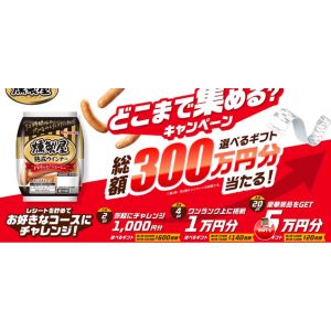 mafin選べるギフト5万円分 他