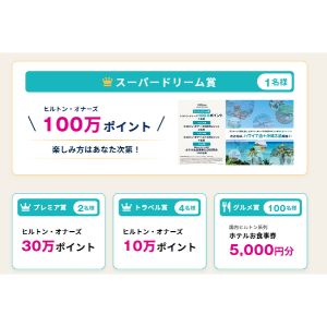 ヒルトン・オナーズ100万ポイント 他