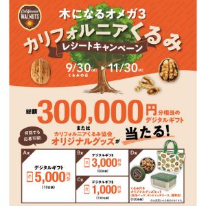 デジタルギフト5,000円分 他