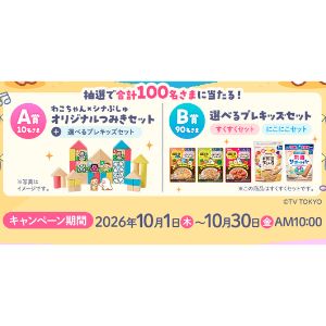 わこちゃん×シナぷしゅ つみき＆プレキッズセット 他