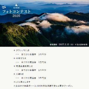 [奈良]天川村おでかけ商品券3万円分 他