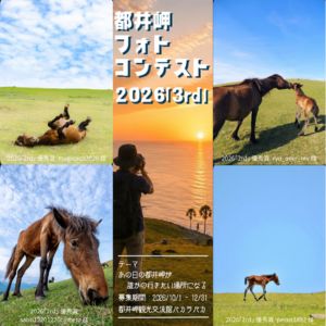 宮崎県串間市の地場産品詰め合わせセット