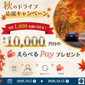 えらべるPay 最大1万円分