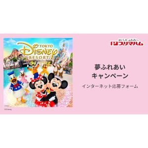 東京ディズニーリゾート・パークチケット（ペア）