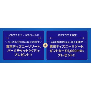 ディズニーリゾート パークチケット 他