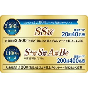 [兵庫]宝塚歌劇 雪組貸切公演ペアチケット