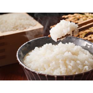 東京都羽村市産米（令和8年産）5kg