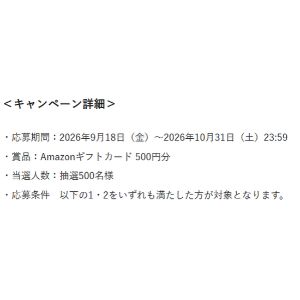 Amazonギフトカード500円分