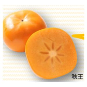 福岡のかき「秋王」