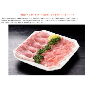 肥前さくらポークロース詰合せ