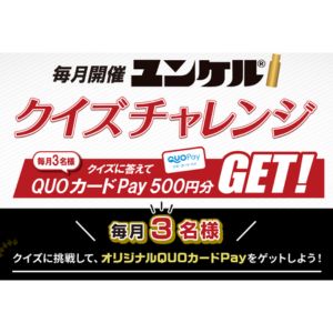 QUOカードPay500円分