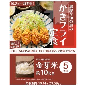 金芽米 約10kg
