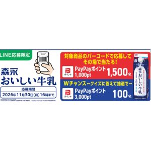 PayPayポイント 最大3,000pt