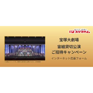 [兵庫]宝塚大劇場 宙組貸切公演チケット