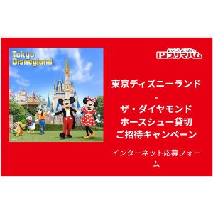 東京ディズニーランド「ザ・ダイヤモンドホースシュー」貸切チケット 他