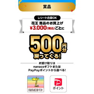 nanacoギフト 500円分 他