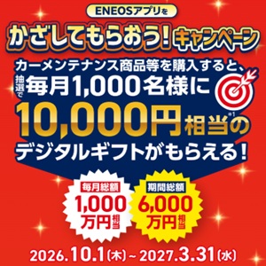 えらべるPay 1万円分