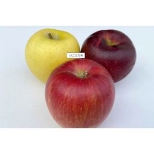 JAグリーン長野 りんご三兄弟®詰め合わせ
