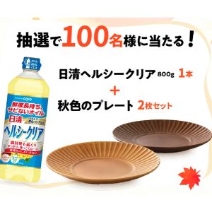 日清ヘルシークリア＆波佐見焼プレート2枚セット
