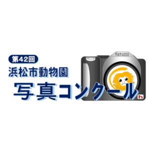 賞（7部門）