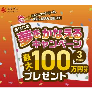 あなたの夢を叶える権利（最大100万円分）　他