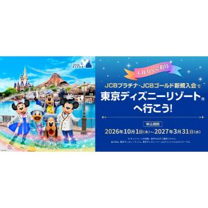 ディズニーリゾート パークチケット 他