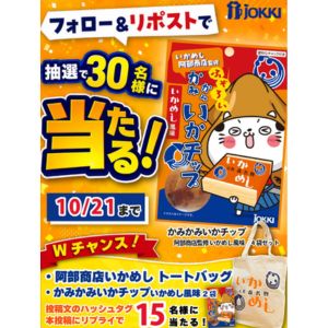 かみかみいかチップいかめし風味4袋