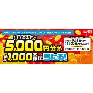 えらべるPay 5,000円分